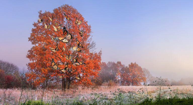 L’arbre de vie : une visualisation pour lâcher et s’épanouir